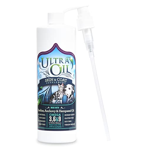Best Skin And Coat Supplements for Dogs