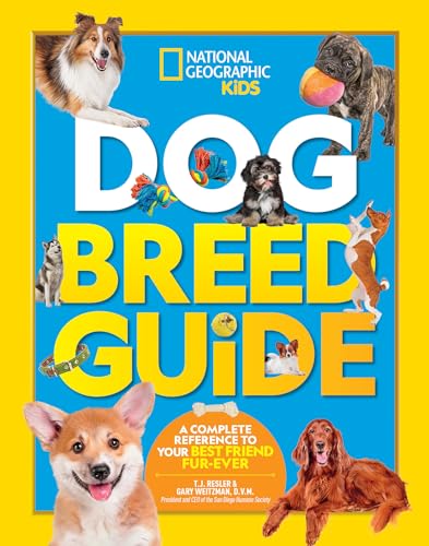 Best Small Breed Dogs for Kids