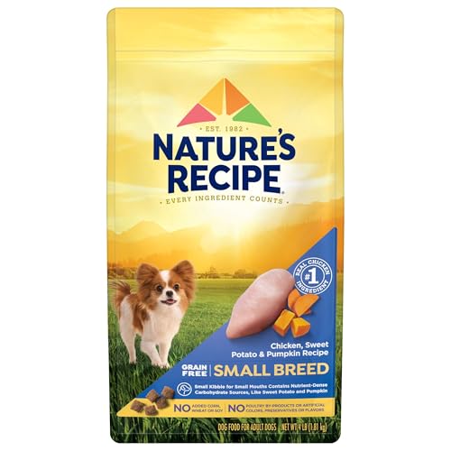 Best Small Dog Food Brands