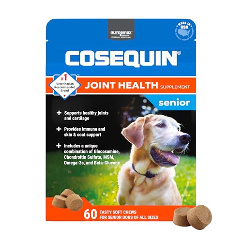 Best Supplements for Aging Dogs