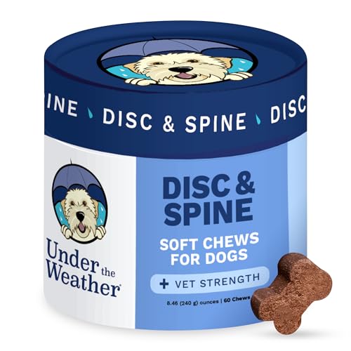 Best Supplements for Dogs With Ivdd