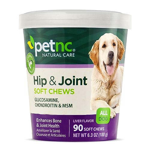 Best Supplements for Hip Dysplasia in Dogs