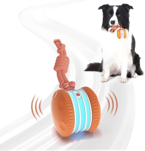 Best Toys for Active Dogs