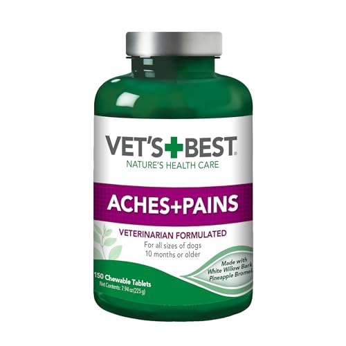 Best Vets for Dogs near Me