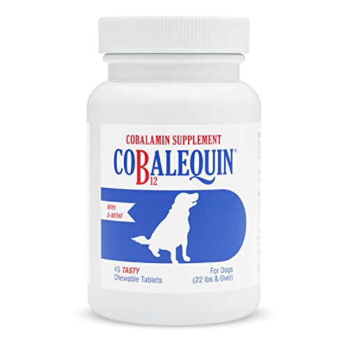 Best Vitamin B12 Supplement for Dogs