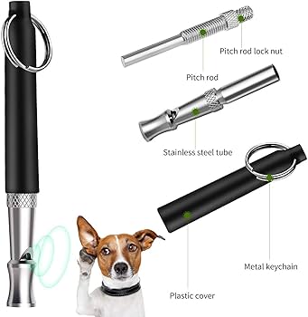 Can a Dog Whistle Hurt a Dog