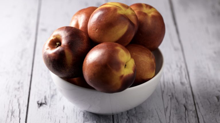 Can Dogs Eat Nectarine Skin