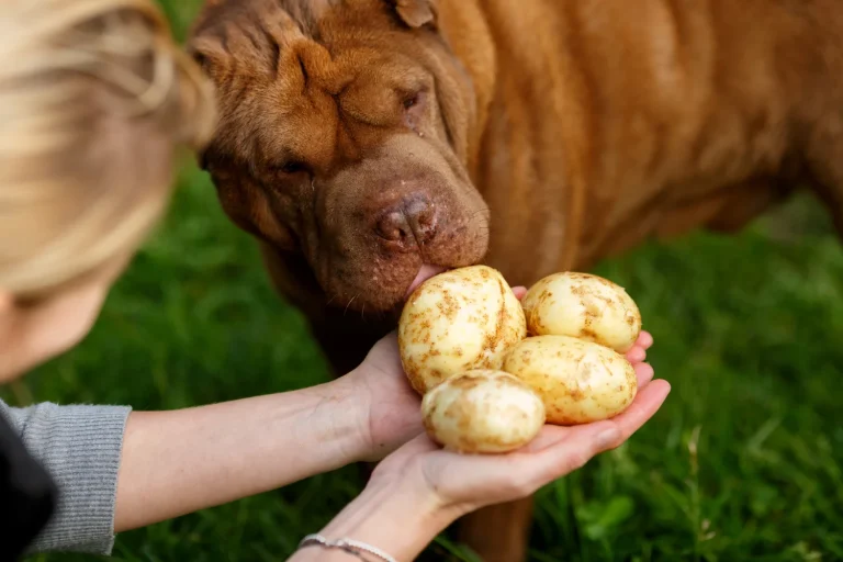 Can Dogs Eat Raw Potato Skins