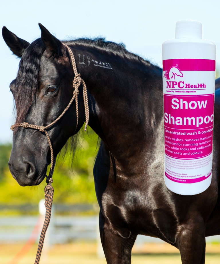 Can You Use Horse Shampoo on Dogs