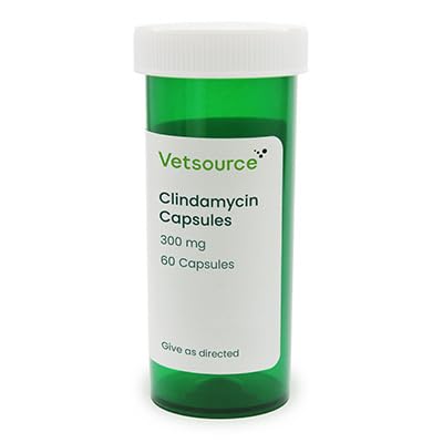 Clindamycin for Dogs