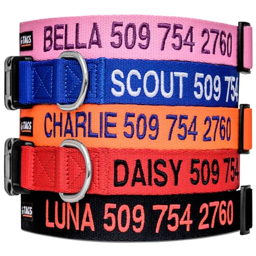 Custom Dog Collars
