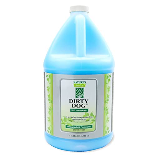 Dirty Dog