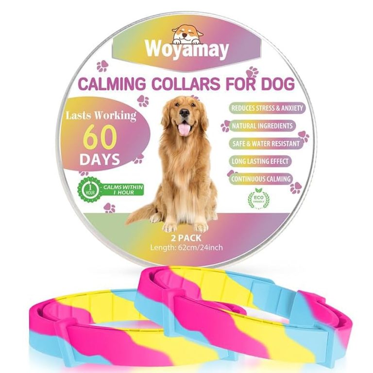 Do Calming Collars Work on Dogs