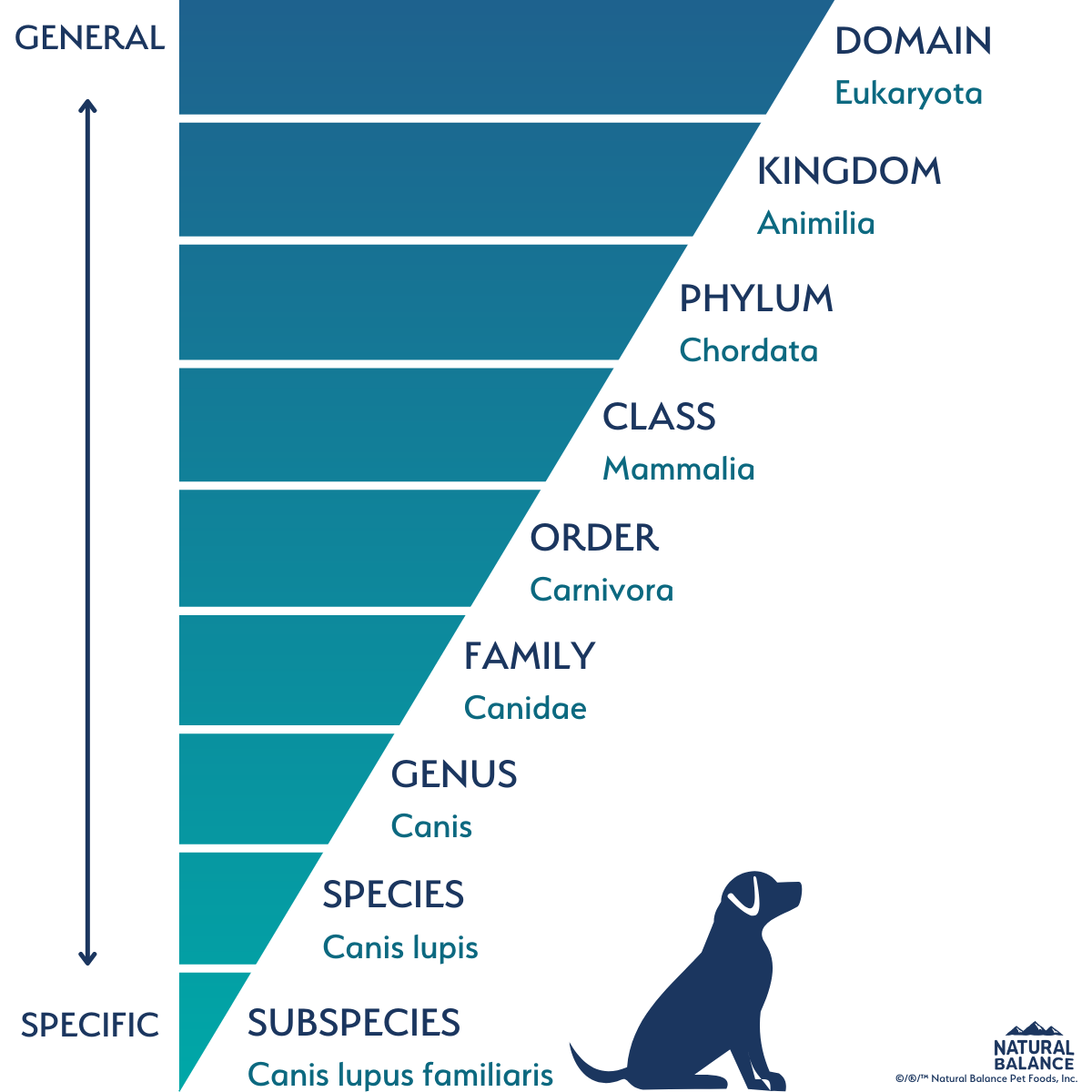 Do Dogs Have Organisms