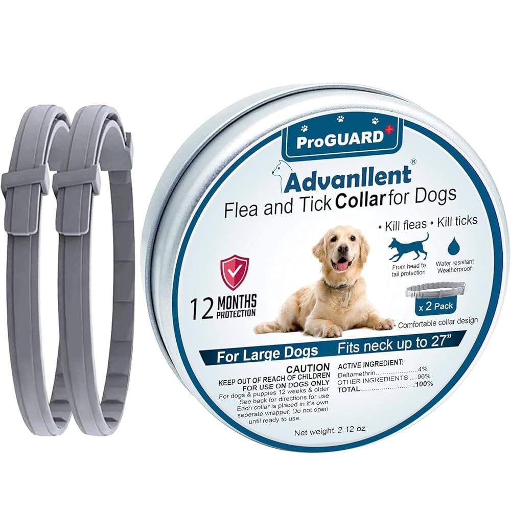 Do Flea Collars Work on Dogs: Effective Pest Control?