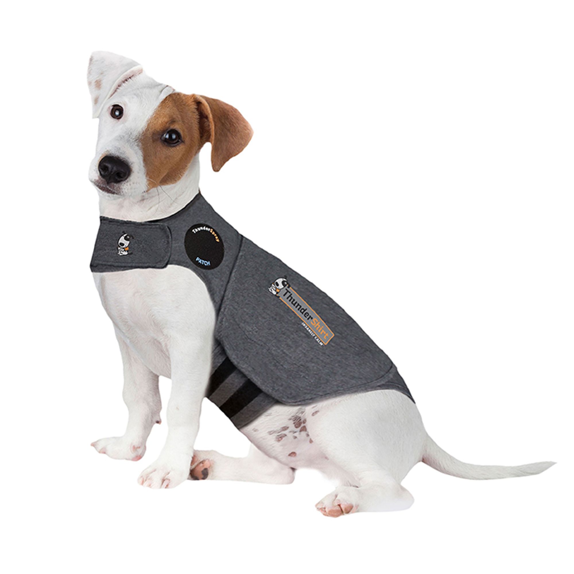 Do Thunder Vests Work for Dogs
