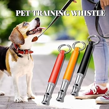 Does a Dog Whistle Work on Cats