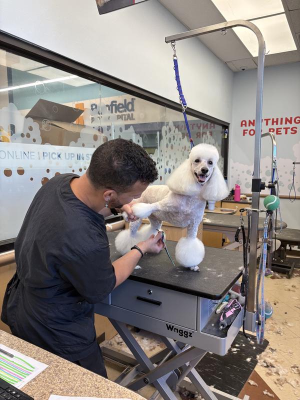 Does Petsmart Groom Dogs