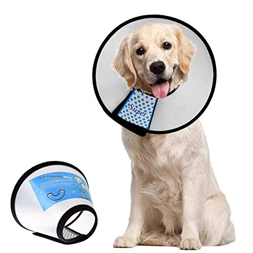 Dog Cone