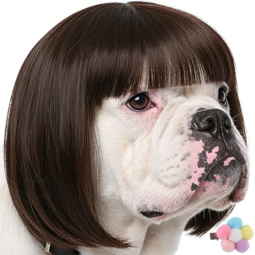 Dog Costumes