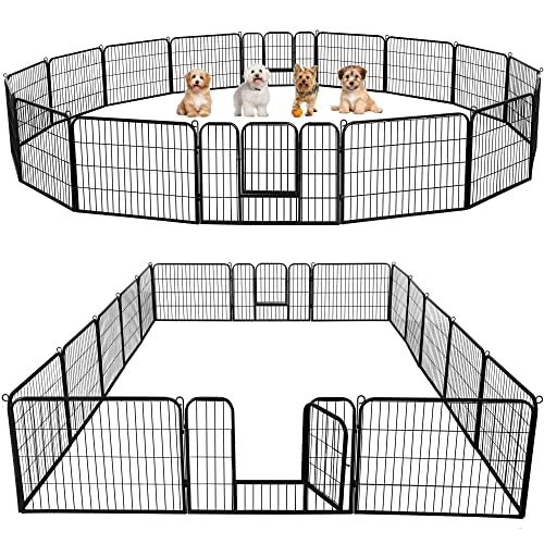 Dog Fence