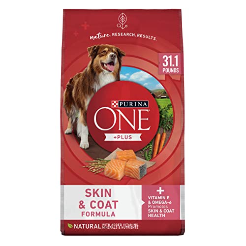 Dog Food for Allergies