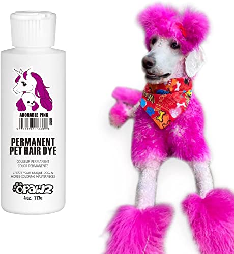 Dog Hair Dyeing