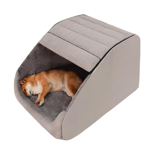 Dog House And