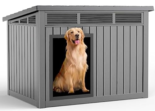 Dog House for Large