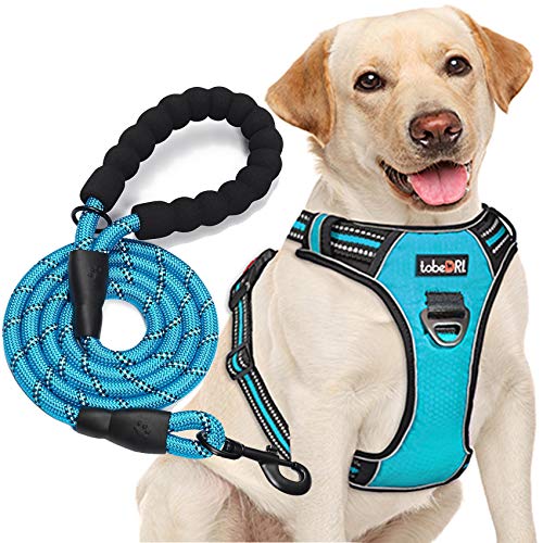 Dog Leash Training Harness