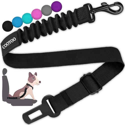 Dog Seat Belt