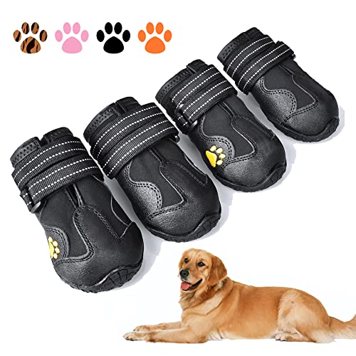 Dog Shoes