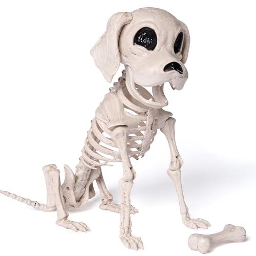 Dog Skeleton