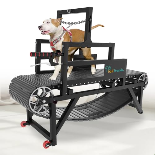 Dog Treadmill