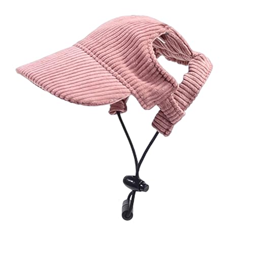 Dog With Hat