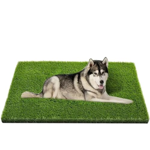 Fake Grass for Dogs