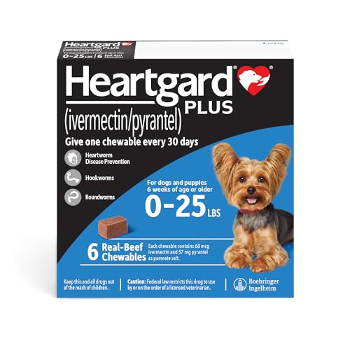 Heartworm Meds for Dogs