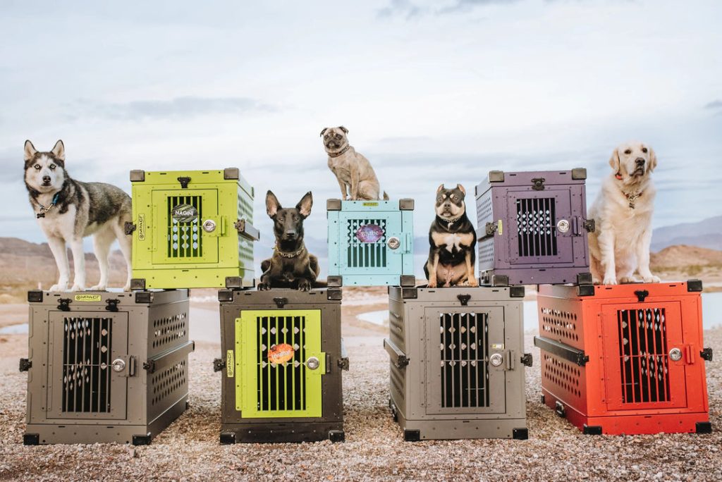 How Big Should My Dogs Crate Be