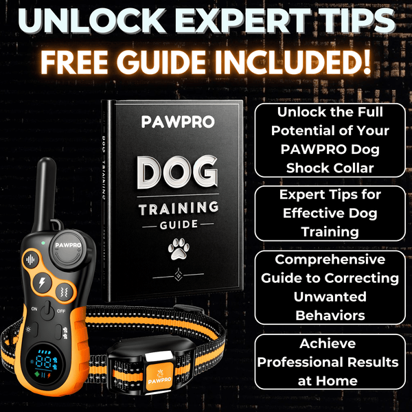 How Do Dog Shock Collars Work: A Comprehensive Guide