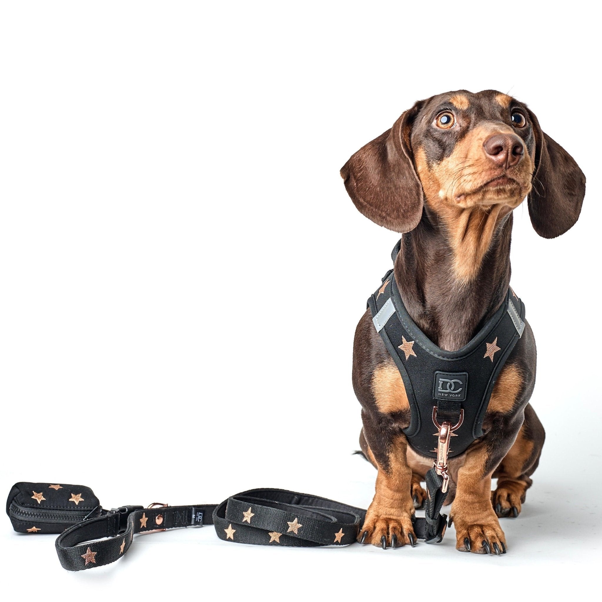 How Do No Pull Dog Harnesses Work: Unleash Control