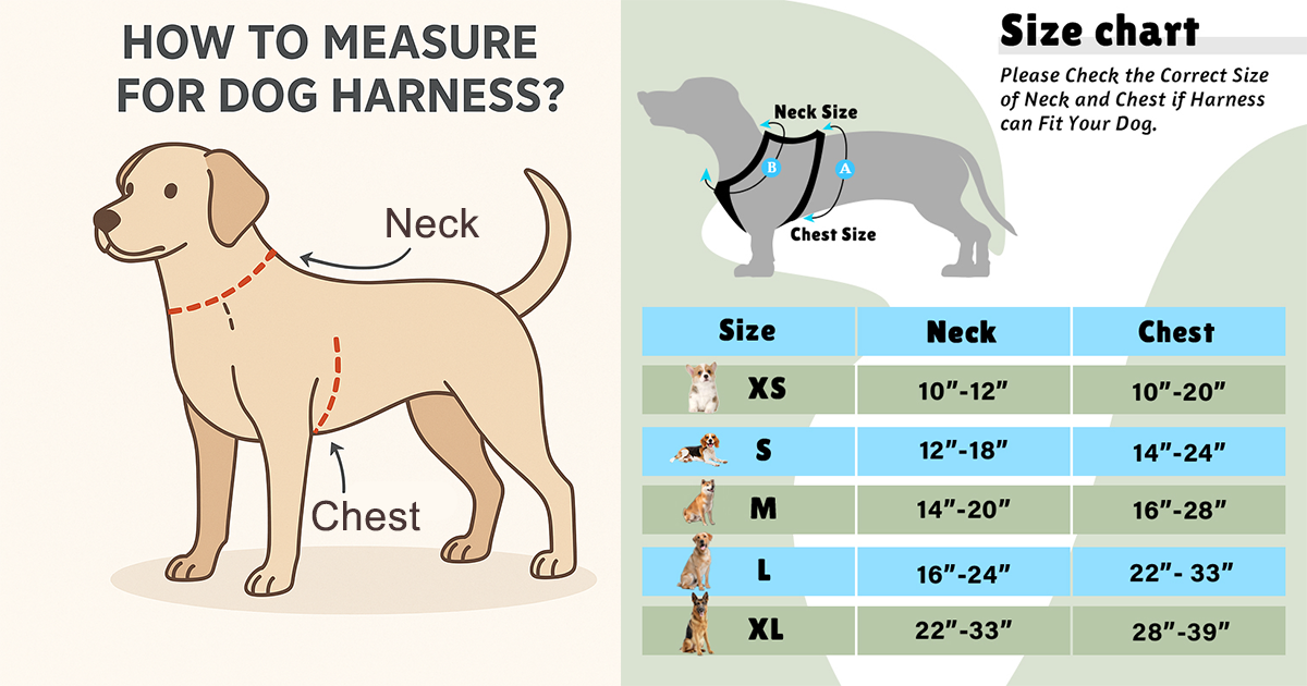 How Do You Measure a Dog for a Harness: Expert Tips