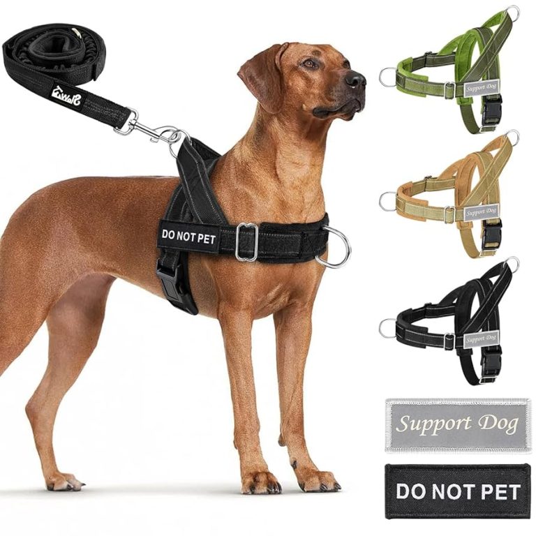 How Does a Dog Harness Go on