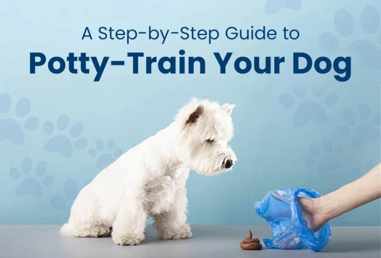 How Long Should It Take to Potty Train a Dog