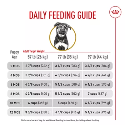 How Many Cups in a 30Lb Bag of Dog Food: Quick Guide