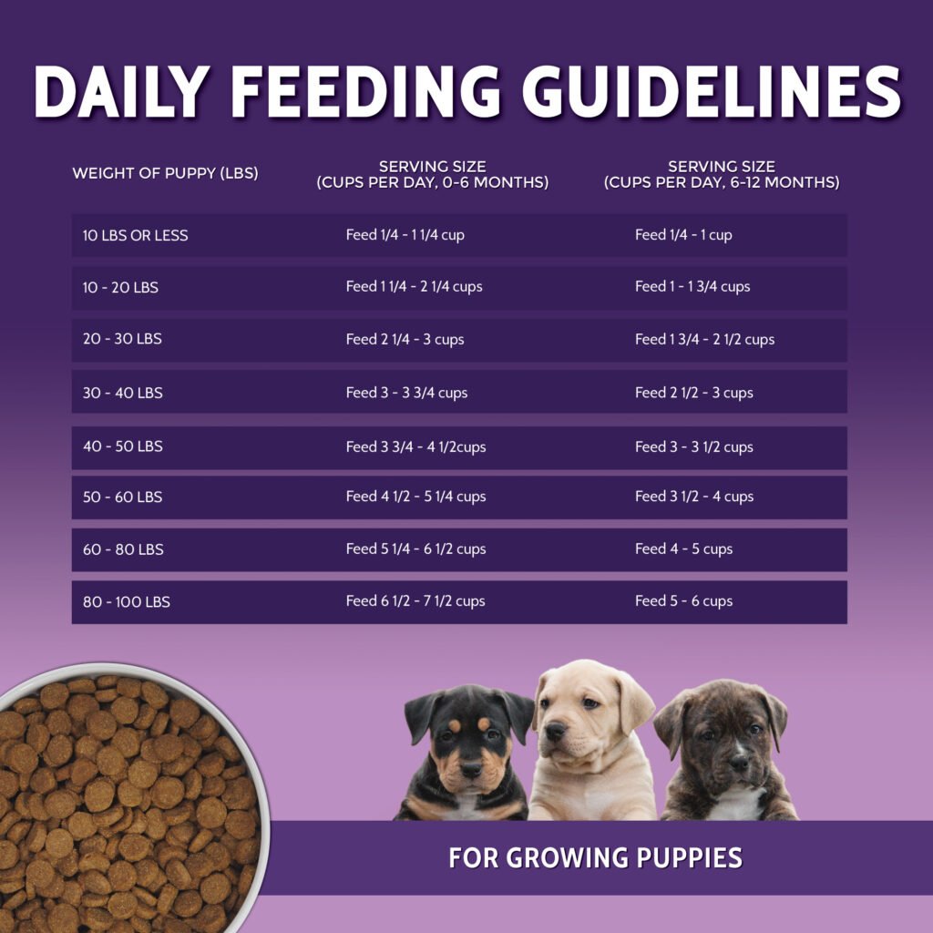 How Many Cups of Dog Food in 30 Lb Bag: Find Out Now