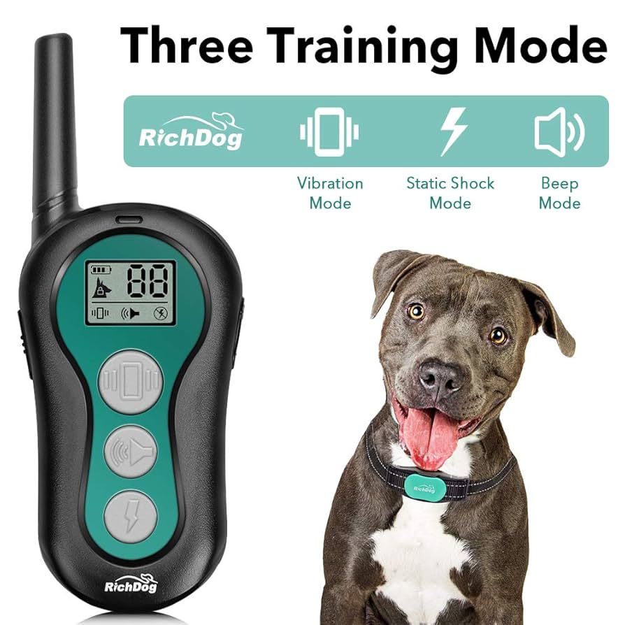 How Much are Shock Collars for Dogs: Price Guide 2025