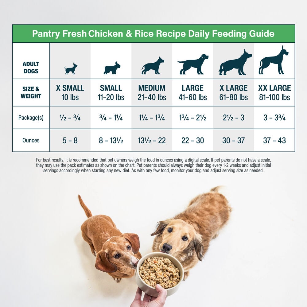 How Much Chicken And Rice to Feed Dog: Essential Guide