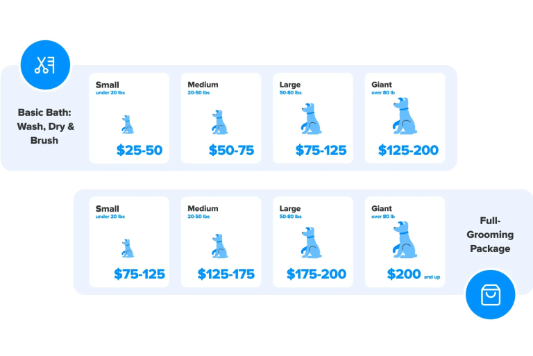 How Much Does It Cost to Get a Dog Groomed