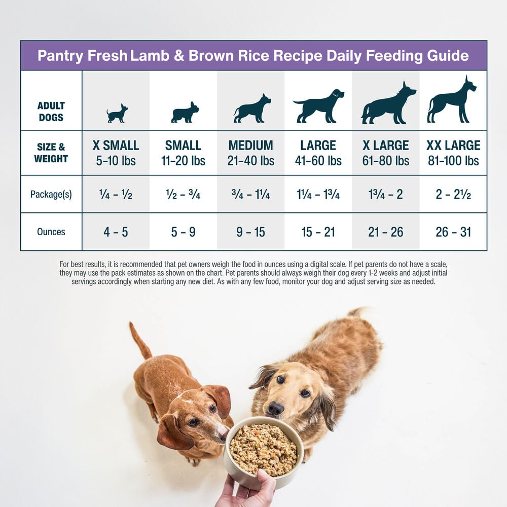 How Much Dog Food Should I Feed My Dog: Expert Guide