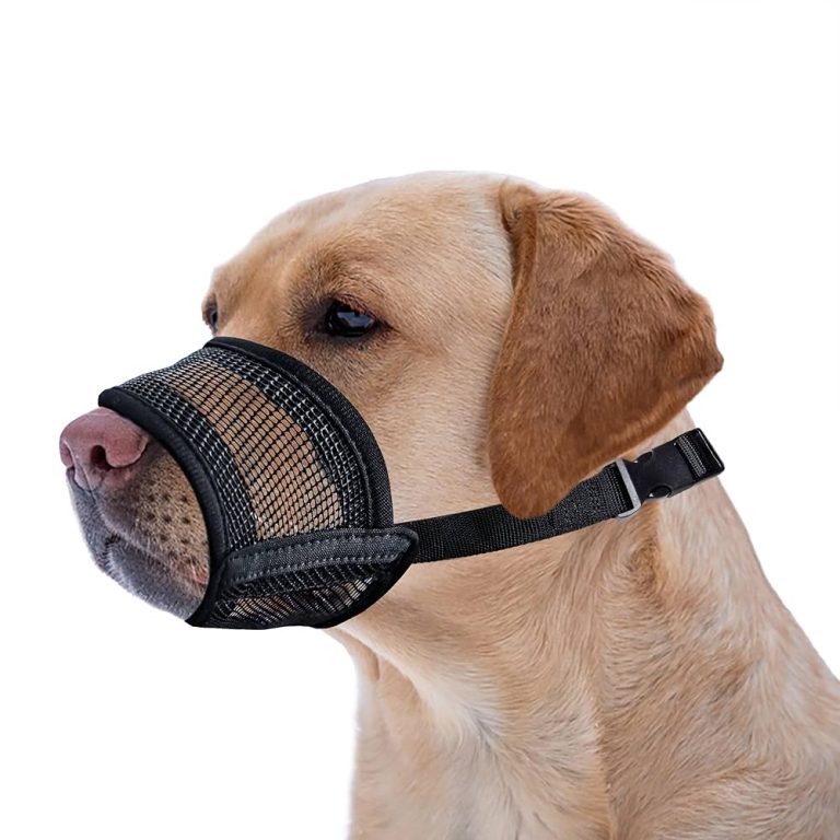How Much is a Dog Muzzle